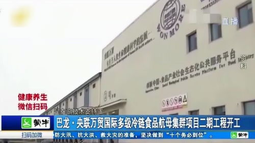 巴龙央联万贸冷链食品航母集群项目二期开工 房产信息咨询新动态